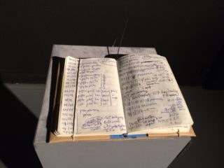 Agnieszka Zalotyńska